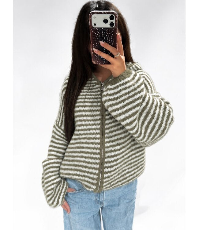Copenhagen Striped Zip Hoodie - Khaki