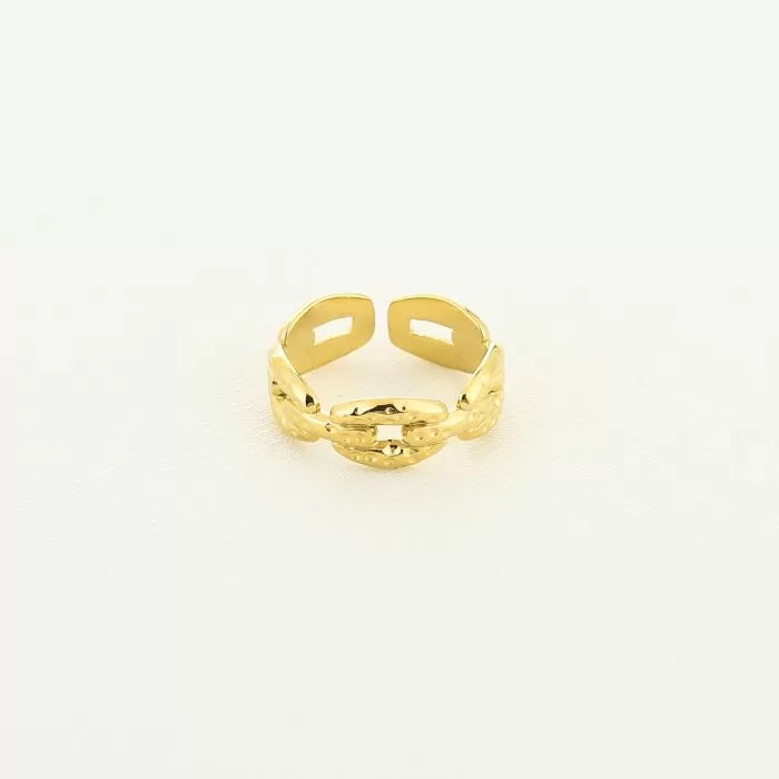 Chain ring goud